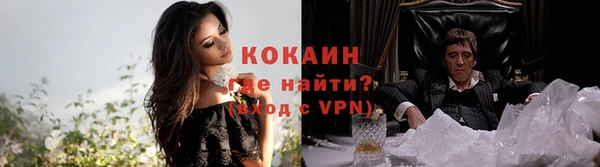 трава Новозыбков