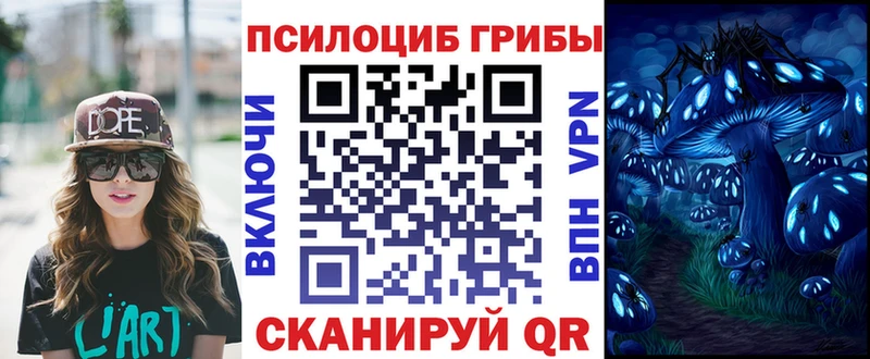 Псилоцибиновые грибы прущие грибы  blacksprut рабочий сайт  Хвалынск 